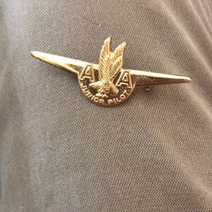 Gold Junior Pilot Wings Pin